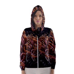 Sea Anemone Coral Underwater Ocean Sea Water Women s Hooded Windbreaker by Wegoenart