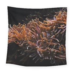 Sea Anemone Coral Underwater Ocean Sea Water Square Tapestry (large) by Wegoenart