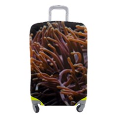 Sea Anemone Coral Underwater Ocean Sea Water Luggage Cover (small) by Wegoenart