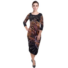 Sea Anemone Coral Underwater Ocean Sea Water Quarter Sleeve Midi Velour Bodycon Dress by Wegoenart