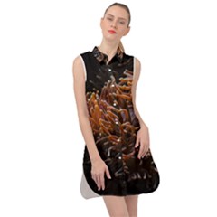 Sea Anemone Coral Underwater Ocean Sea Water Sleeveless Shirt Dress by Wegoenart