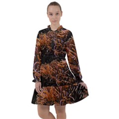 Sea Anemone Coral Underwater Ocean Sea Water All Frills Chiffon Dress by Wegoenart