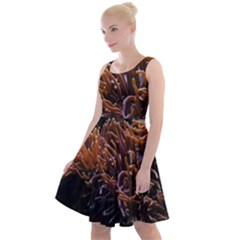 Sea Anemone Coral Underwater Ocean Sea Water Knee Length Skater Dress by Wegoenart