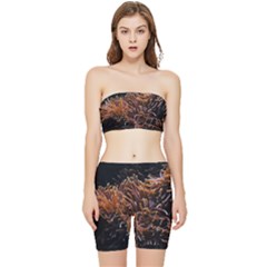 Sea Anemone Coral Underwater Ocean Sea Water Stretch Shorts And Tube Top Set by Wegoenart