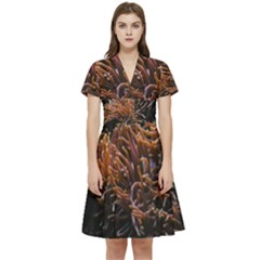 Sea Anemone Coral Underwater Ocean Sea Water Short Sleeve Waist Detail Dress by Wegoenart