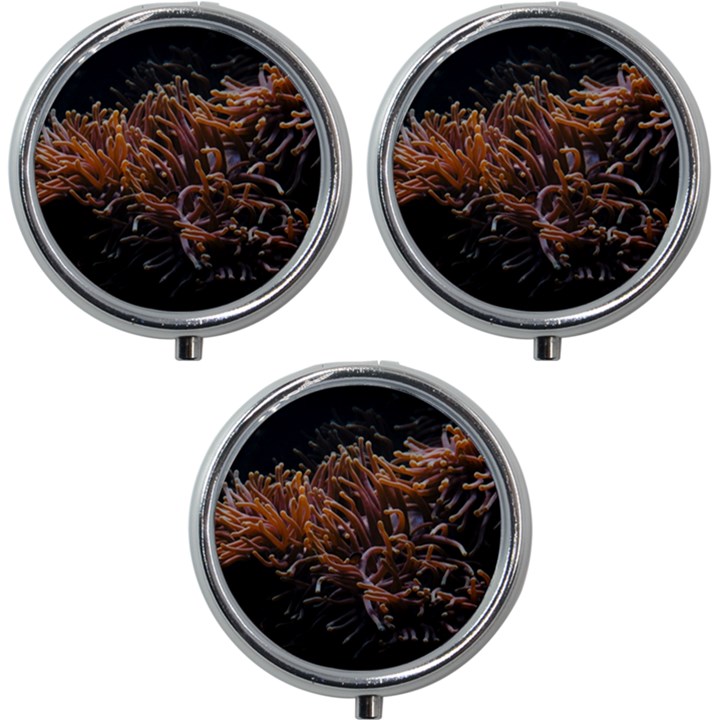 Sea Anemone Coral Underwater Ocean Sea Water Mini Round Pill Box (Pack of 3)