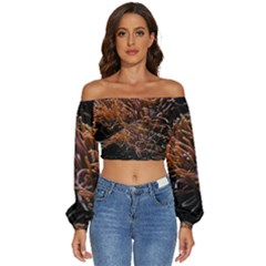 Sea Anemone Coral Underwater Ocean Sea Water Long Sleeve Crinkled Weave Crop Top