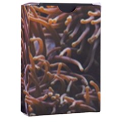 Sea Anemone Coral Underwater Ocean Sea Water Playing Cards Single Design (rectangle) With Custom Box by Wegoenart