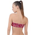 Watermelon Red Food Fruit Healthy Summer Fresh Classic Bandeau Bikini Top  View2