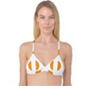 Zip Pay Special Series 16 Reversible Tri Bikini Top View1