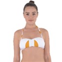 Zip Pay Special Series 16 Halter Bandeau Bikini Top View1