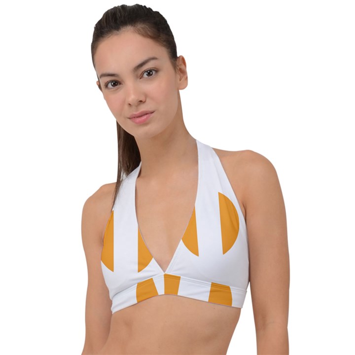 Zip Pay Special Series 16 Halter Plunge Bikini Top