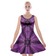 Pattern Purple Symmetry Dark Velvet Skater Dress