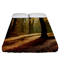 Autumn Nature Woodland Woods Trees Fitted Sheet (Queen Size)