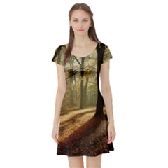 Autumn Nature Woodland Woods Trees Short Sleeve Skater Dress