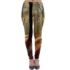 Autumn Nature Woodland Woods Trees Lightweight Velour Leggings by Jancukart