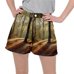 Autumn Nature Woodland Woods Trees Ripstop Shorts