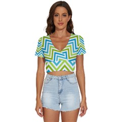 Green Chevron V-neck Crop Top by GardenOfOphir