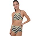 Mute Chevron High Waist Tankini Set View1