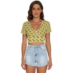 Pattern 136 V-neck Crop Top by GardenOfOphir