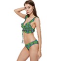 Pattern 179 Low Cut Ruffle Edge Bikini Set View2