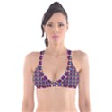 Pattern 207 Plunge Bikini Top View1