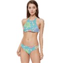 Jellyfish Animal Translucent Banded Triangle Bikini Set View1