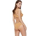 Pattern 231 Low Cut Ruffle Edge Bikini Set View3