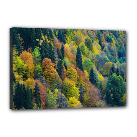 Forest Trees Leaves Fall Autumn Nature Sunshine Canvas 18  X 12  (stretched)