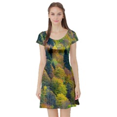 Forest Trees Leaves Fall Autumn Nature Sunshine Short Sleeve Skater Dress by Ravend