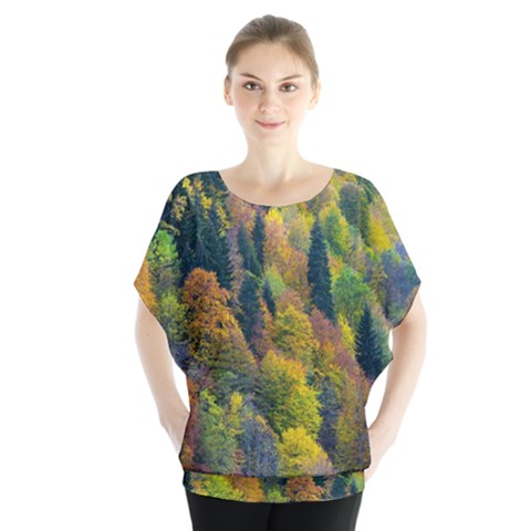 Forest Trees Leaves Fall Autumn Nature Sunshine Batwing Chiffon Blouse by Ravend