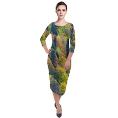 Forest Trees Leaves Fall Autumn Nature Sunshine Quarter Sleeve Midi Velour Bodycon Dress by Ravend