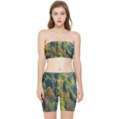 Forest Trees Leaves Fall Autumn Nature Sunshine Stretch Shorts And Tube Top Set by Ravend