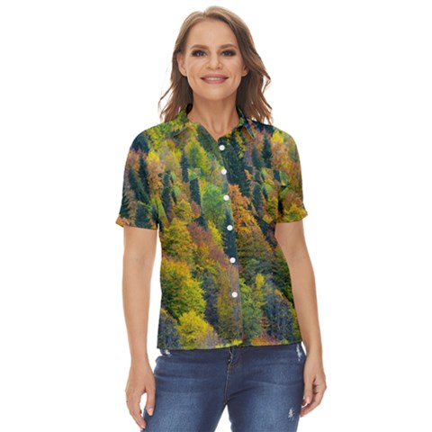 Forest Trees Leaves Fall Autumn Nature Sunshine Women s Short Sleeve Double Pocket Shirt by Ravend