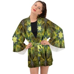 Fractal-fantasy-design-background- Long Sleeve Kimono by Vaneshart