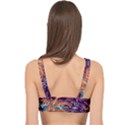 Ornamental Patterns Abstract Flower Pattern Purple Cage Up Bikini Top View2