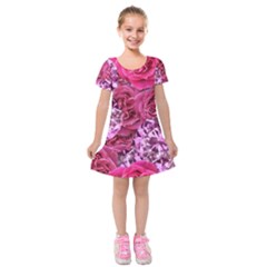 Roses Pink Tourmaline Seamless Kids  Short Sleeve Velvet Dress