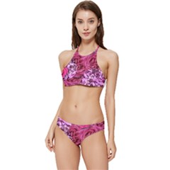 Roses Pink Tourmaline Seamless Banded Triangle Bikini Set