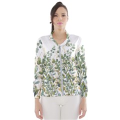 Gold And Green Eucalyptus Leaves Women s Windbreaker by Jack14