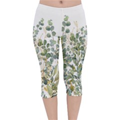 Gold And Green Eucalyptus Leaves Velvet Capri Leggings  by Jack14