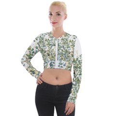 Gold And Green Eucalyptus Leaves Long Sleeve Cropped Velvet Jacket by Jack14