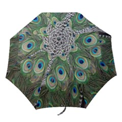 Peacock Bird Feather Colourful Folding Umbrellas