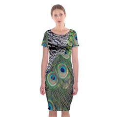 Peacock Bird Feather Colourful Classic Short Sleeve Midi Dress