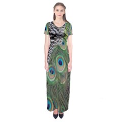 Peacock Bird Feather Colourful Short Sleeve Maxi Dress