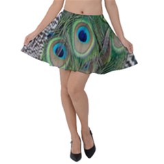 Peacock Bird Feather Colourful Velvet Skater Skirt