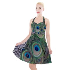 Peacock Bird Feather Colourful Halter Party Swing Dress 