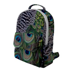 Peacock Bird Feather Colourful Flap Pocket Backpack (large)