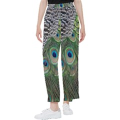 Peacock Bird Feather Colourful Women s Pants  by Jancukart