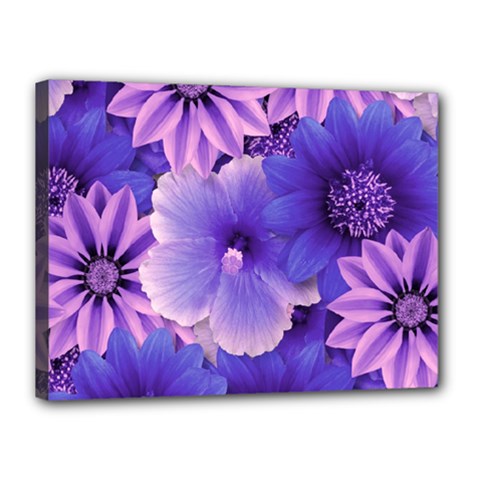 Pattern Floral Flora Flower Flowers Blue Violet Patterns Canvas 16  X 12  (stretched)