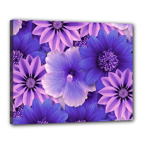 Pattern Floral Flora Flower Flowers Blue Violet Patterns Canvas 20  X 16  (stretched)